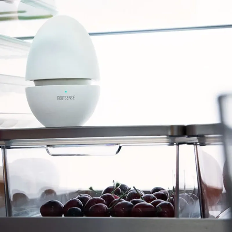 fridge air purifier bulk