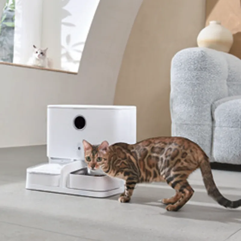 smart pet feeder & fountain for sale manufacturer