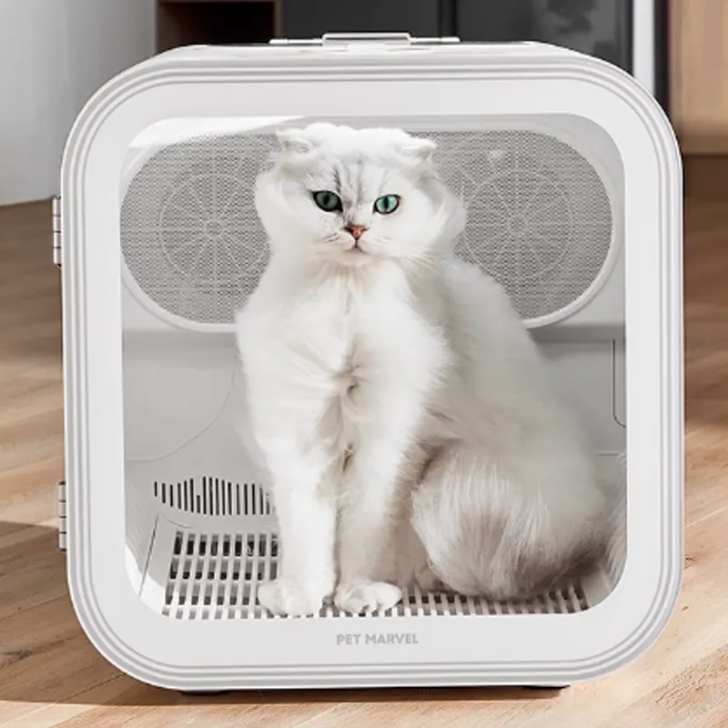 Benefits of Using a Cat Dryer Box (2026 Guide for Cat Owners)