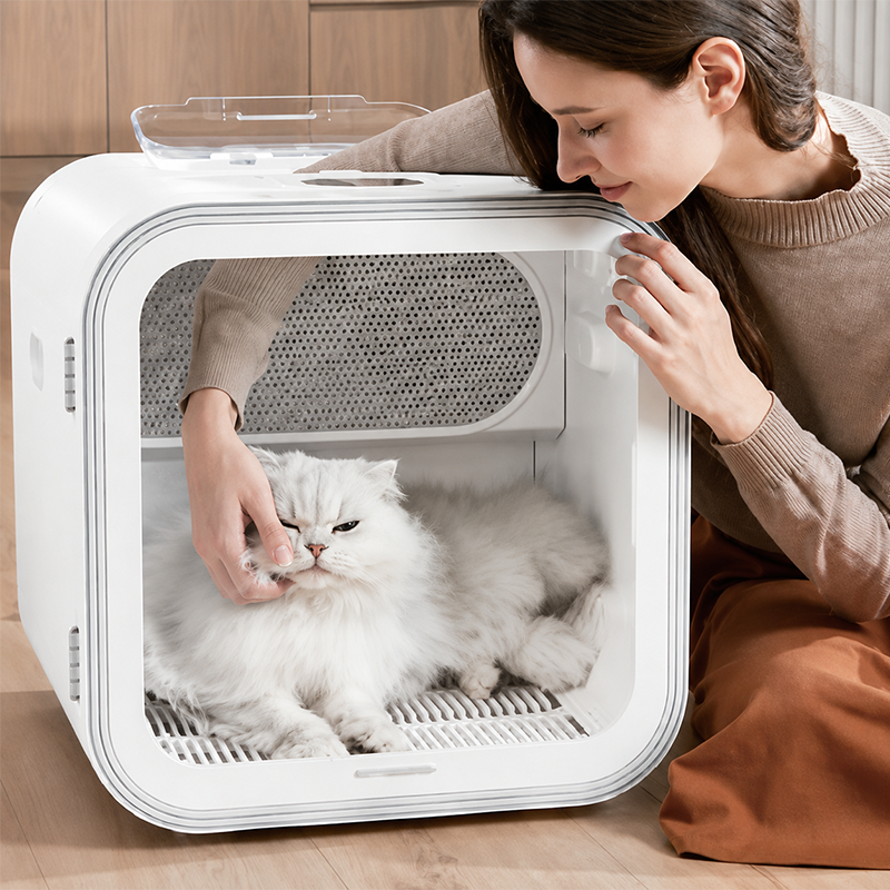 Cat Dryer Box Safety Features Buyers Should Check Before Bulk Orders