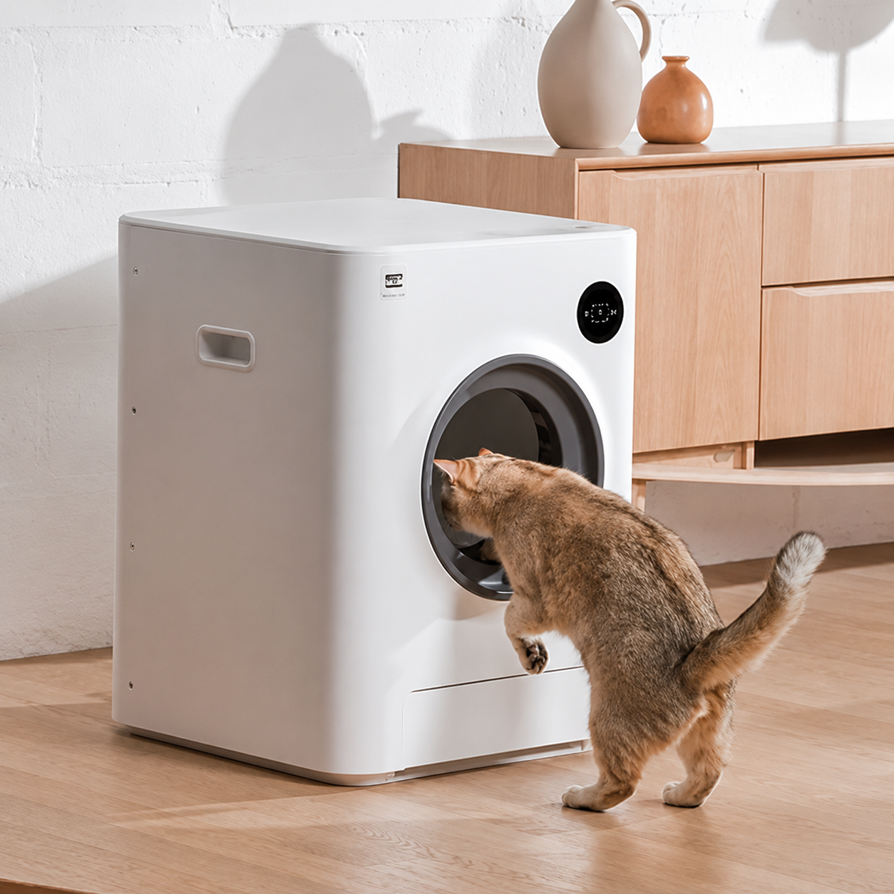 What Is an Automatic Cat Litter Box