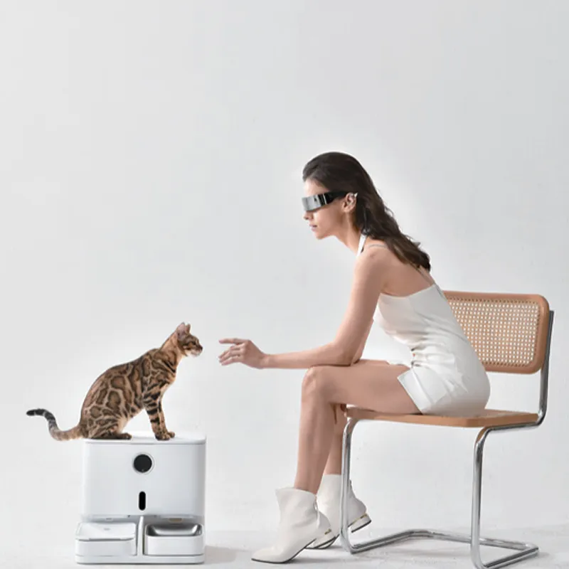 Smart Pet Feeder and Water Fountain: One Device or Separate Products?